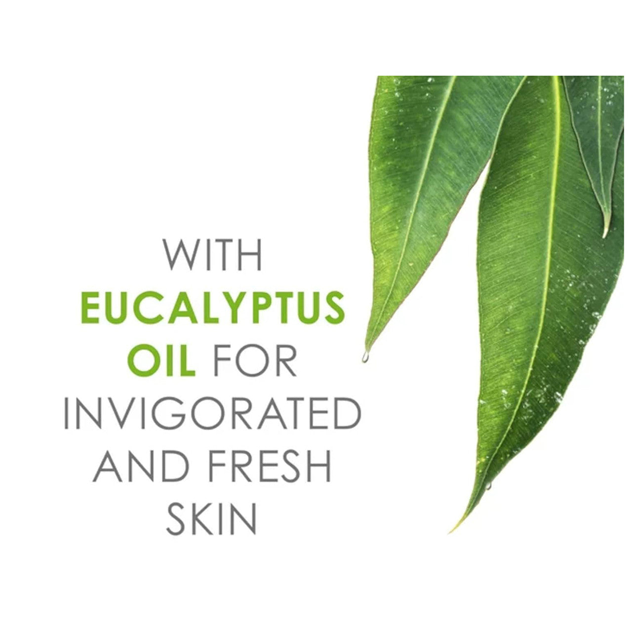 Text graphic reading "With Eucalyptus Oil for Invigorated and Fresh Skin" accompanied by vibrant green eucalyptus leaves on a white background.